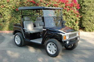 affordable golf cart rental, golf cart rent fernandina beach, cart rental fernandina beach