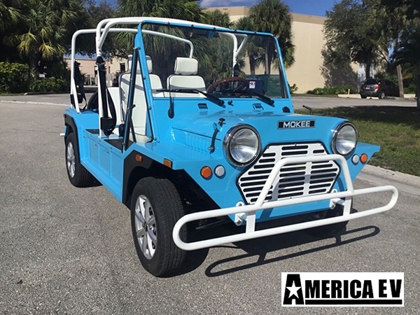 affordable golf cart rental, golf cart rent fernandina beach, cart rental fernandina beach