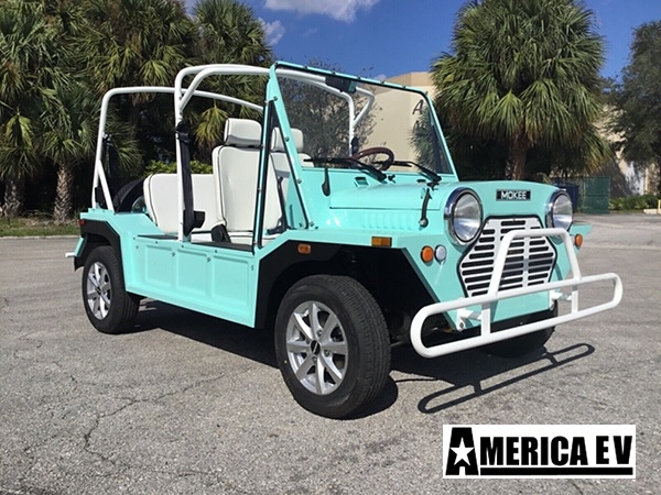 affordable golf cart rental, golf cart rent fernandina beach, cart rental fernandina beach