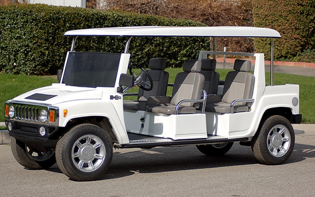 affordable golf cart rental, golf cart rent fernandina beach, cart rental fernandina beach